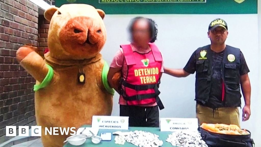 ペルー警察　麻薬捜査での逮捕時にカピバラの着ぐるみを着用して突入(動画あり)