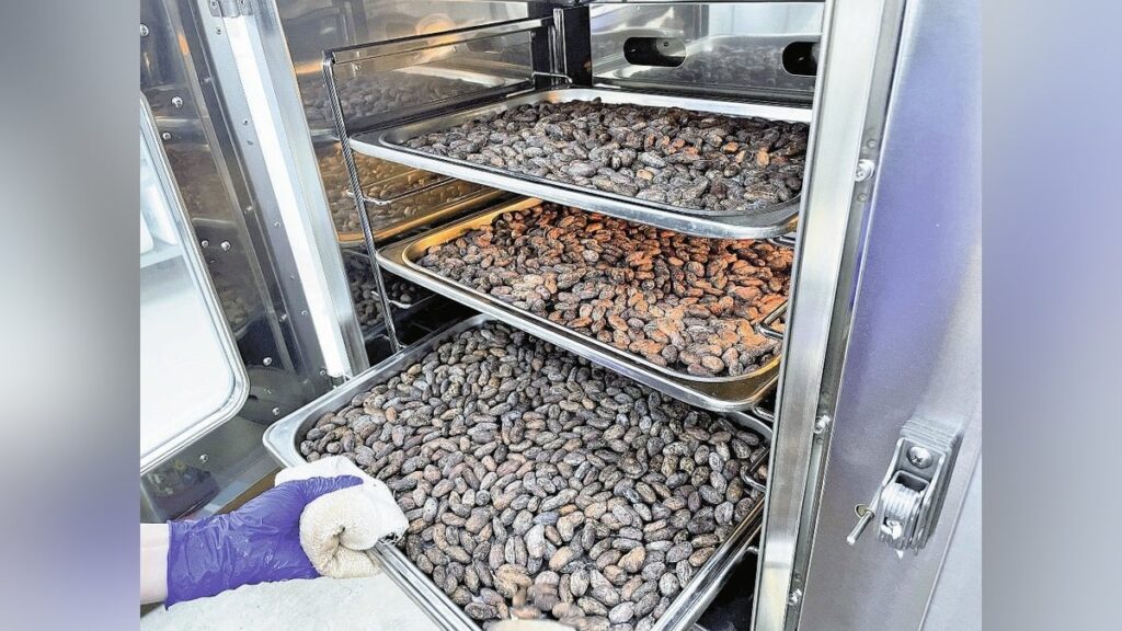 迫るバレンタイン、ショコラティエを悩ませるカカオ豆の高騰「一時は銅より高値」