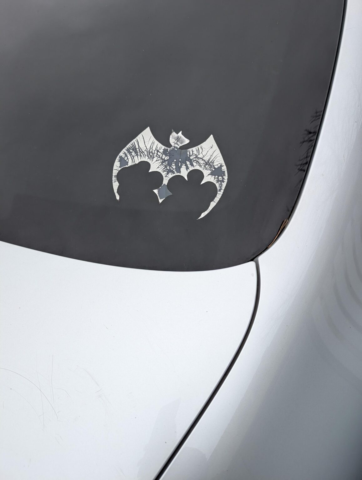 このバットシンボルはミュンヘンの車に何が見つかりましたか？