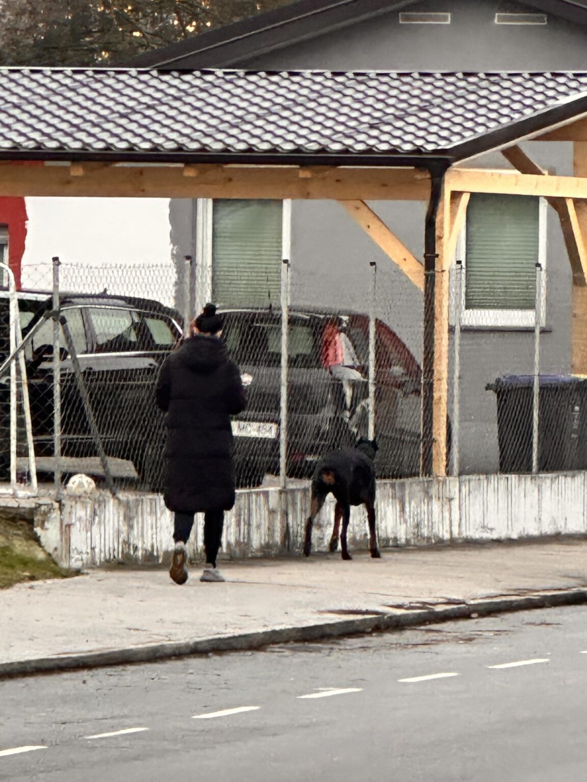 解き放たれたドーベルマンと一緒に街を歩いている人々についてのあなたの意見は何ですか？