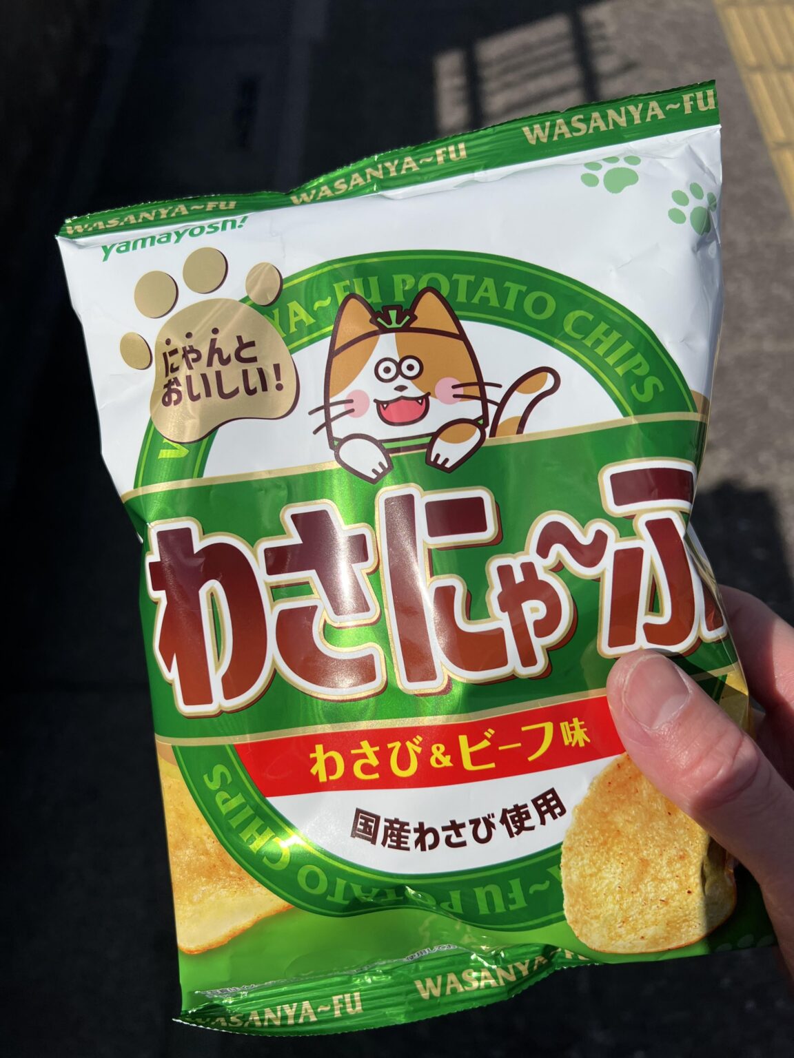 高部知子ニャンニャン写真デー…いや、猫の日なのか近所のコンビニで売ってた