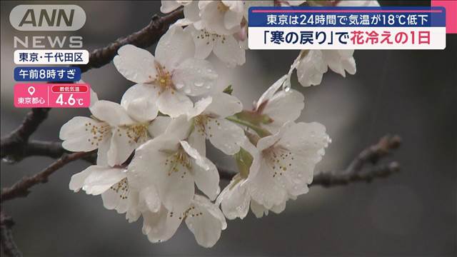 「寒の戻り」で花冷えの1日 東京は24時間で気温が18℃低下 | khb東日本放送