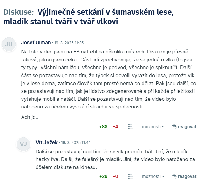 私は、若者とのオオカミのビデオ会議が撮影され、IdnesからRedditへの議論を共有することを読みました。出典：私はšumavaForestです