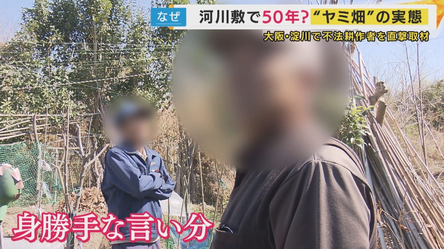 ヤミ畑、淀川河川敷で何十年も前から複数人が不法耕作。違法ではないから国土交通省河川事務所の「指導」となるが、従って撤去する人がいてもその空いたところで耕作を新たに始めちゃう人もいて都会のイタチごっこ