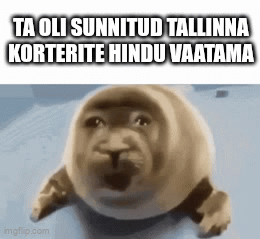Lasnamäeでマッチボックスを購入します