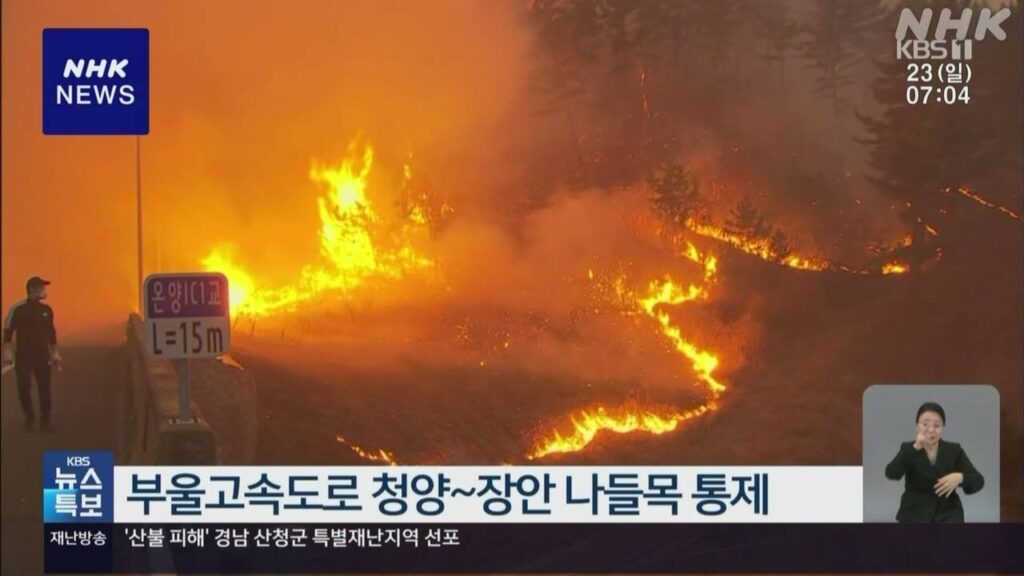 韓国 各地で山火事相次ぐ 消防隊員ら4人死亡 消火作業は難航