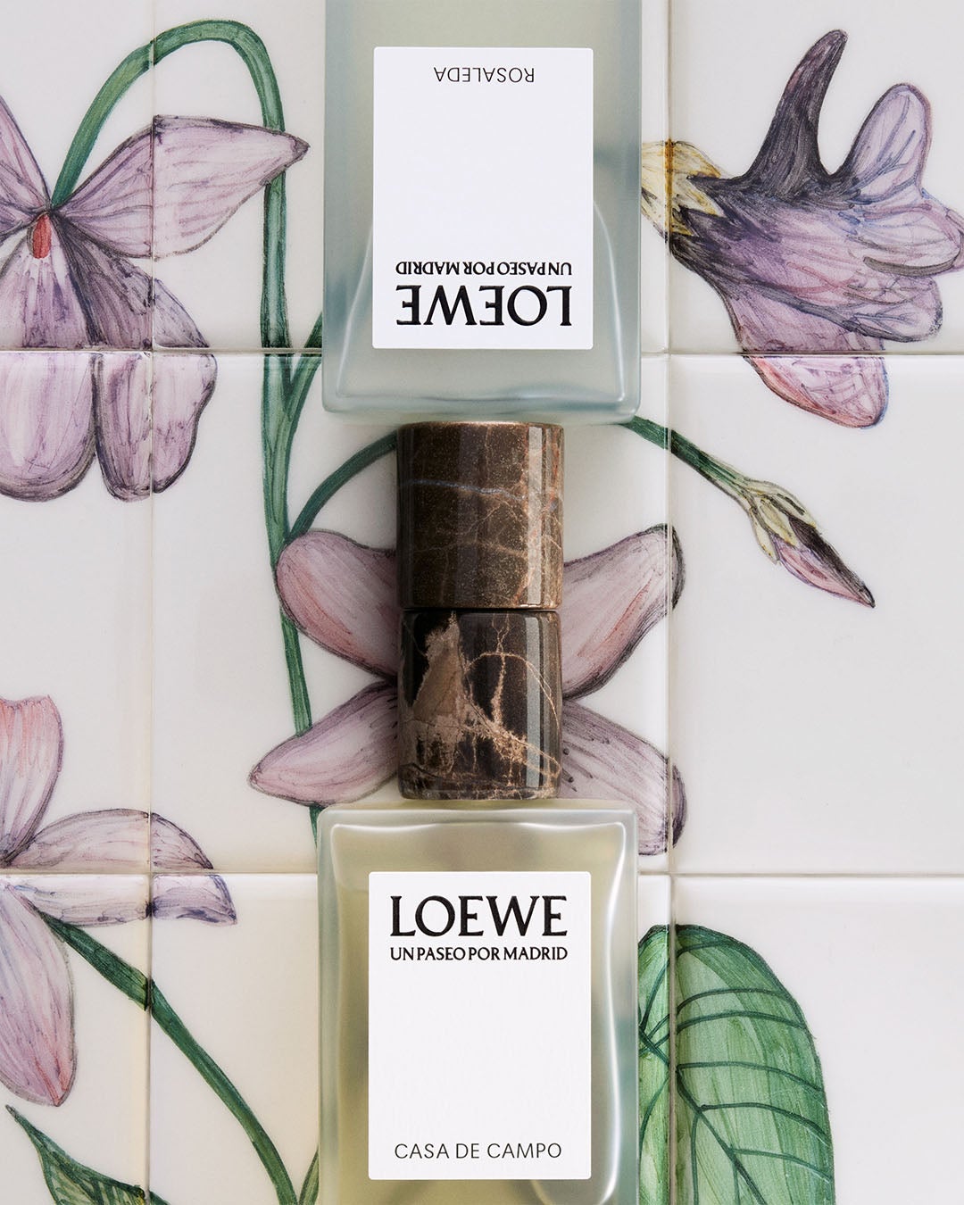 LOEWE Perfumes ロエベ パルファム 新作　ビジュアル１