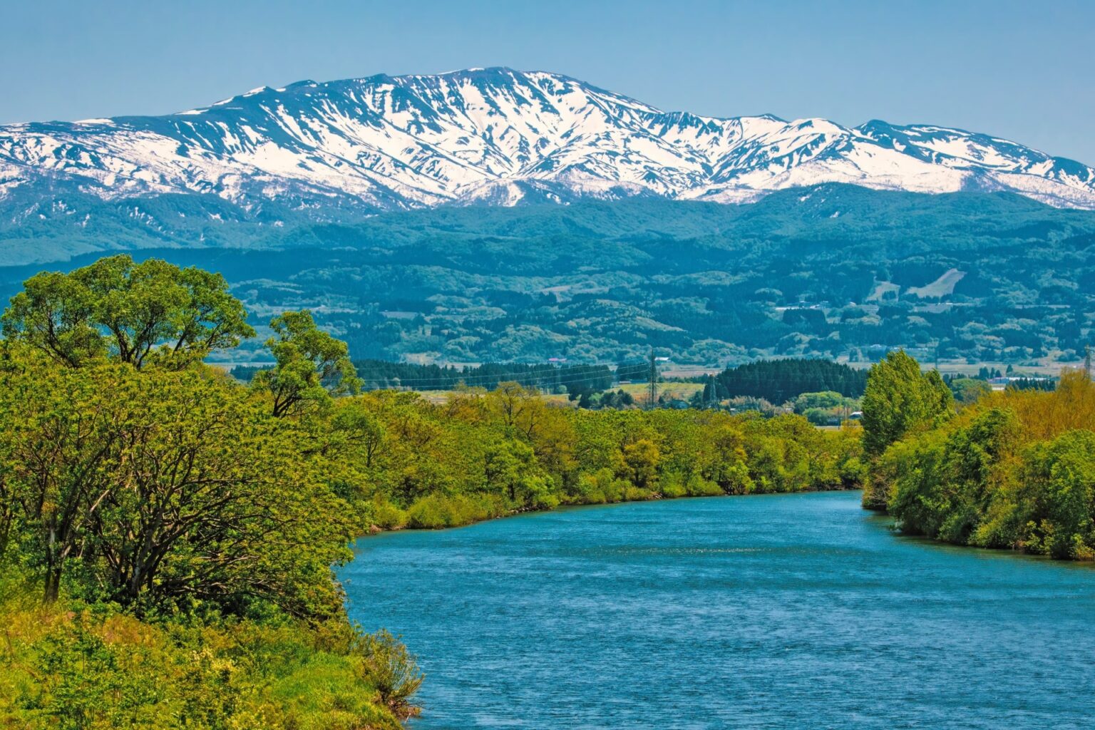 地元愛が強いと思う「山形県の市町村」ランキングTOP29！　第1位は「鶴岡市」【2025年3月24日時点の投票結果】（1/2） | 山形県 ねとらぼリサーチ