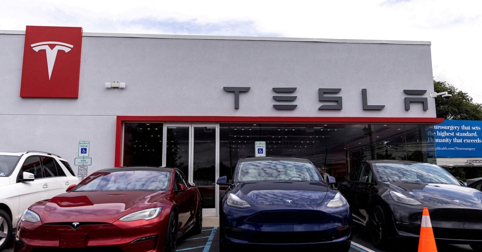 仏や北欧でテスラ離れ進む、マスク氏の政治的言動に反発 | ロイター