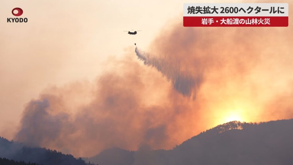 【速報】焼失拡大、2600ヘクタールに　岩手・大船渡の山林火災