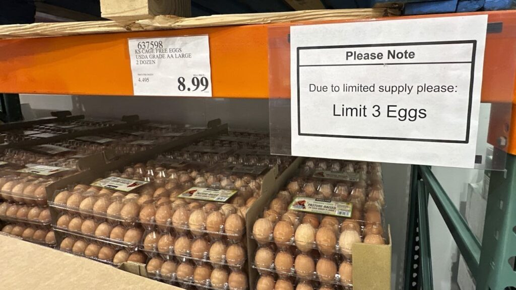 アメリカはデンマークに卵を求めます
