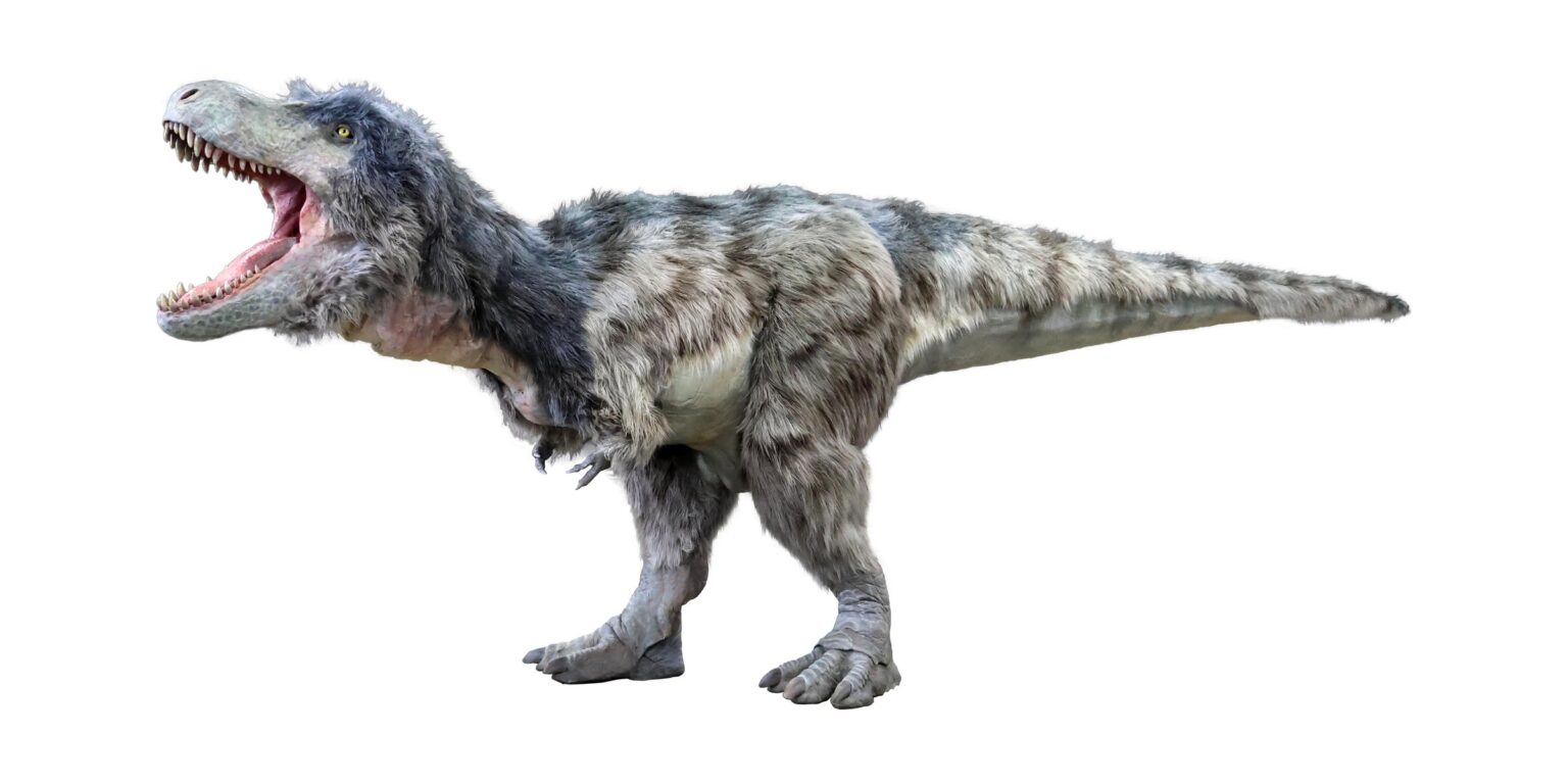 体験型「恐竜」ライブエンターテインメント「DINO SAFARI 2025」羽毛に覆われた若きティラノサウルスのビジュアルを初公開！ | 株式会社ON-ARTのプレスリリース