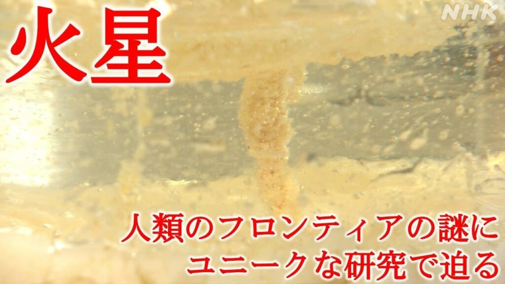 火星 人類のフロンティアの謎に迫るユニークな研究 | NHK
