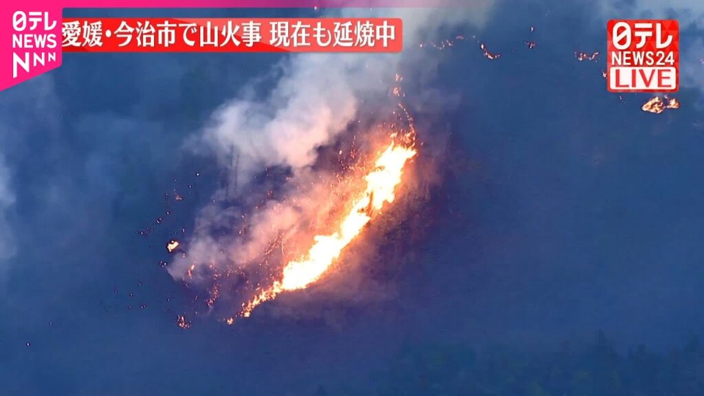 【速報】愛媛･今治市で山火事  現在も延焼中