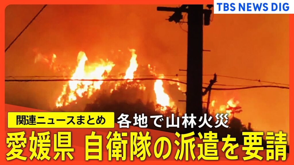 【各地で山火事】岡山市南部で現在も延焼中／愛媛・今治市で1000世帯余りに避難指示【関連ニュースまとめ】