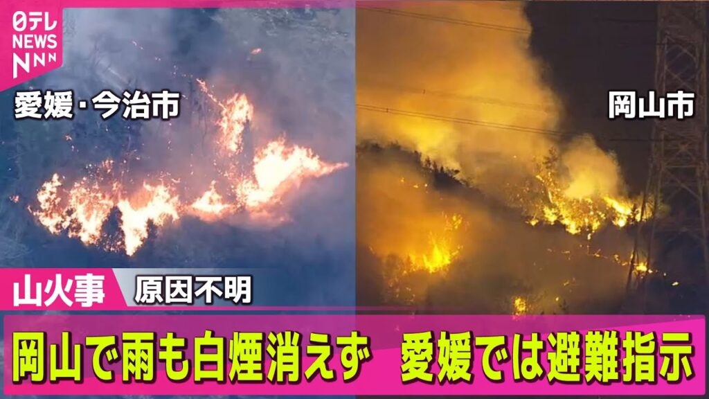 【山火事】2県で山林火災　岡山で雨も白煙消えず　集落に炎迫り…愛媛では避難指示 ―─ ニュースライブ（日テレNEWS LIVE）