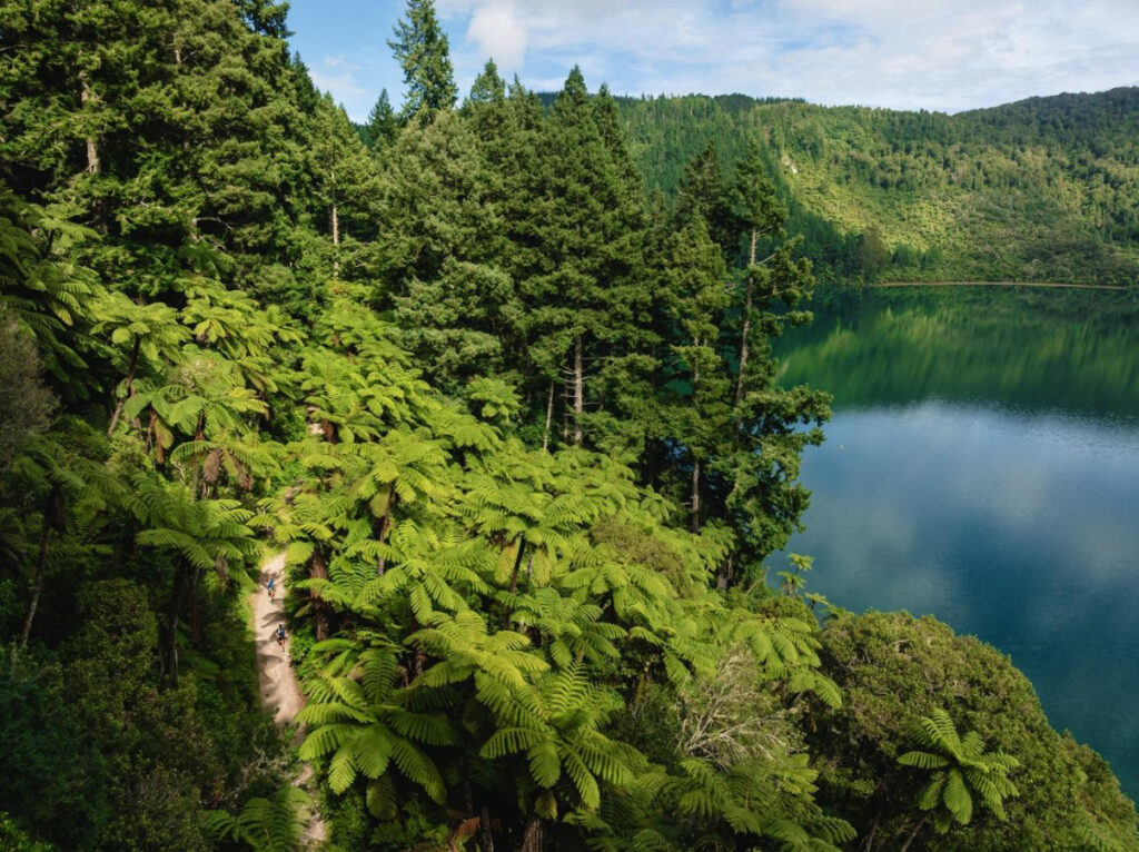 まもなくニュージーランド・ロトルアで開催、2025年Tarawera Ultra-Trail by UTMB | DogsorCaravan トレイルランニング・スカイランニングのオンラインメディア