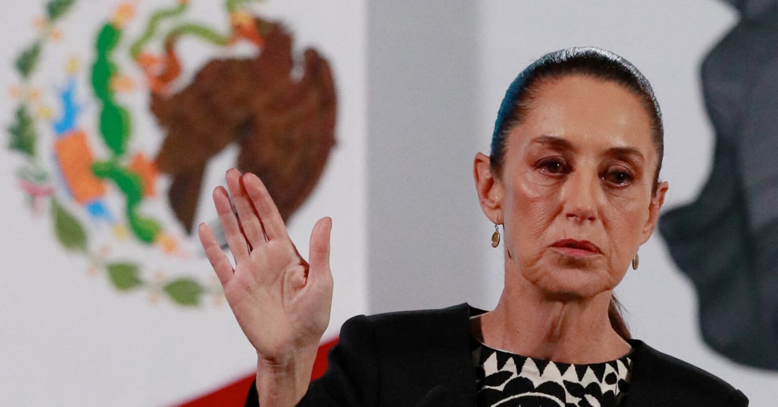 メキシコ大統領「即時報復せず」、米の鉄鋼・アルミ関税受け | ロイター