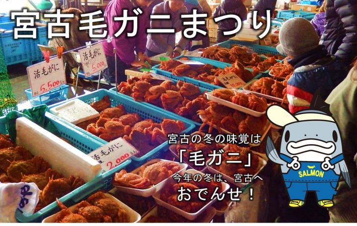 宮古毛ガニまつり 宮古の冬の味覚は「毛ガニ」今年の冬は、宮古へおでんせ！サーモン君のイラスト