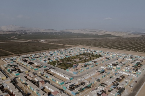 ギャラリー：ペルーの砂漠が十数年でブルーベリーの一大産地に　写真14点（写真クリックでギャラリーページへ）