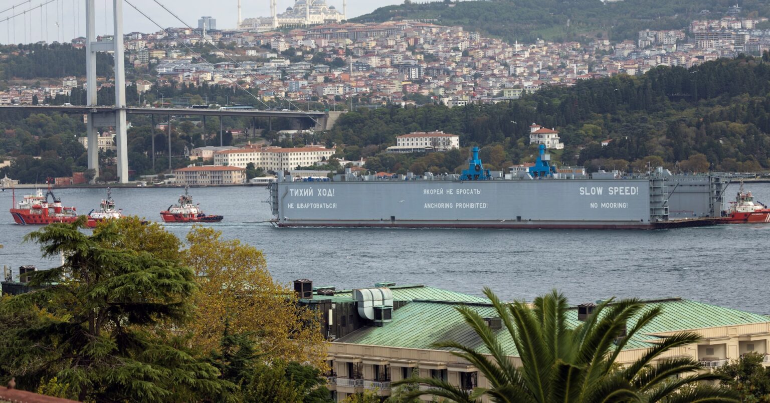 米、ロ・ウクライナと合意　黒海での航行安全確保巡り | ロイター