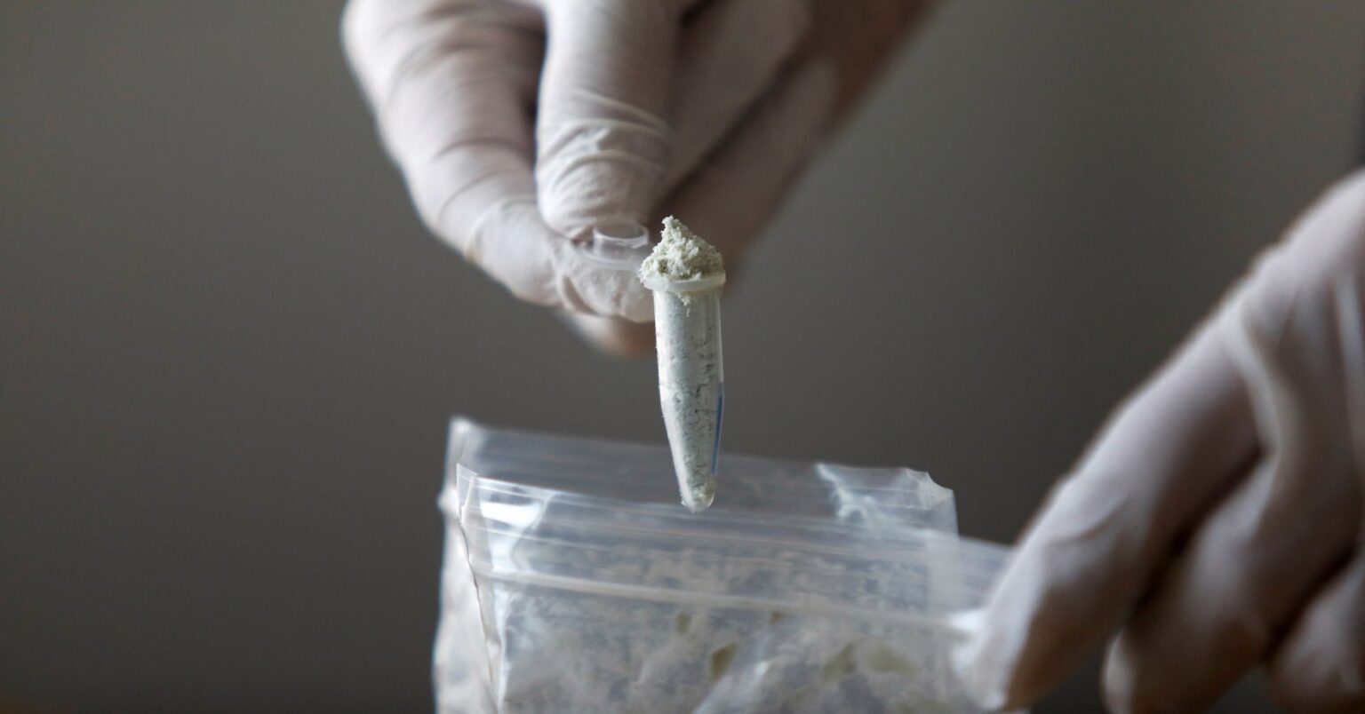 メキシコのフェンタニル対策、米の対外援助凍結で一時停止 | ロイター