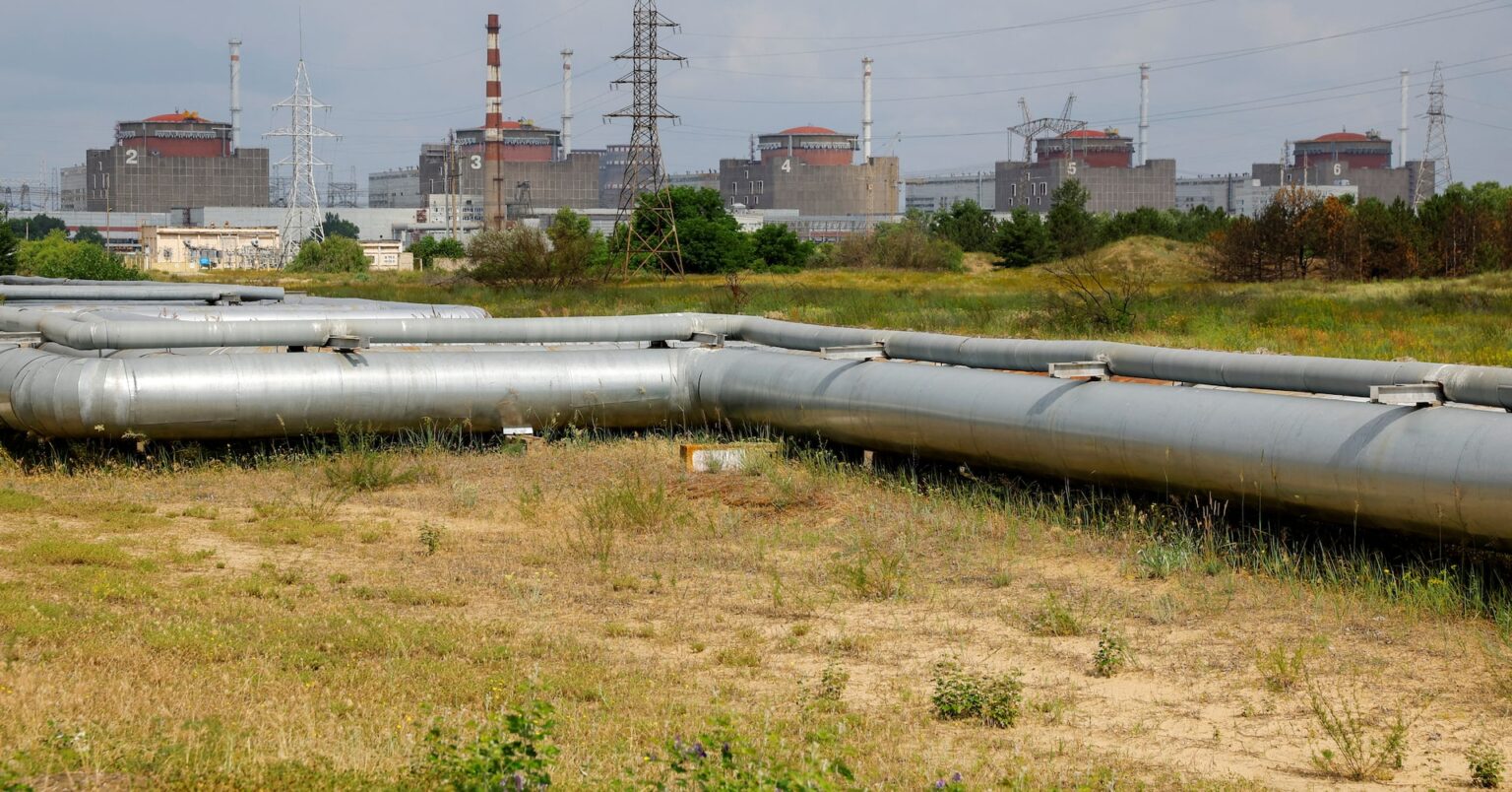 インタビュー：ウクライナのザポロジエ原発、停戦なら数カ月で再稼働も＝ＩＡＥＡ事務局長 | ロイター