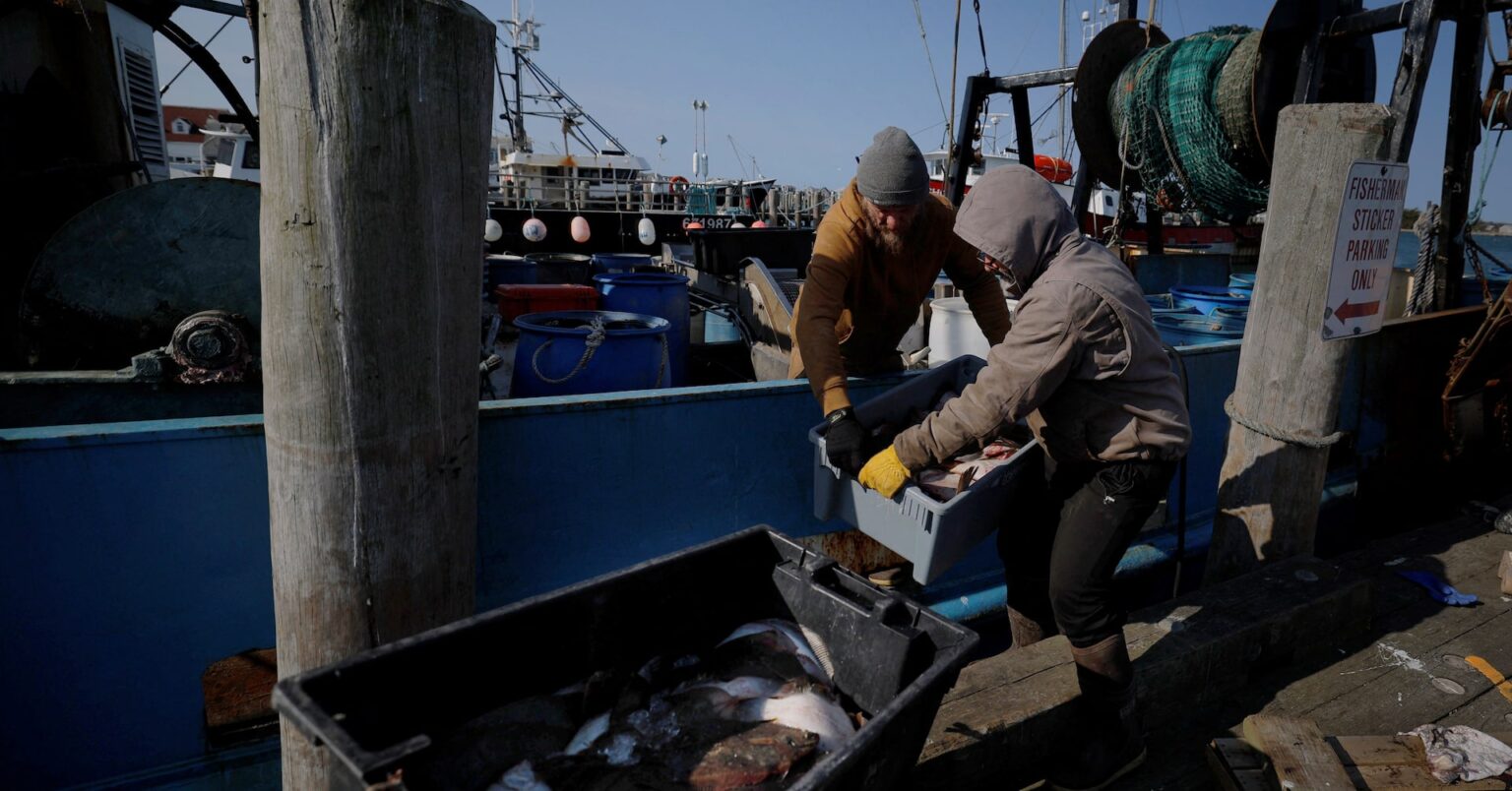 焦点：トランプ政権が「規制凍結」、大混乱に陥る米国漁業 | ロイター