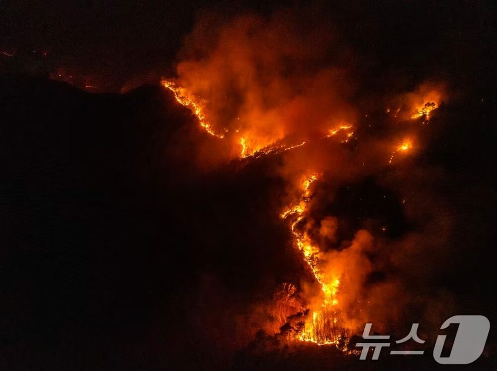“雨男・雨女”パワーを結集しよう…山火事被害の韓国、広がる“現代版祈雨”の思い 写真枚 国際ニュース:AFPBB News “雨男・雨女”パワーを結集しよう…山火事被害の韓国、広がる“現代版祈雨”の思い 写真枚 国際ニュース:AFPBB News