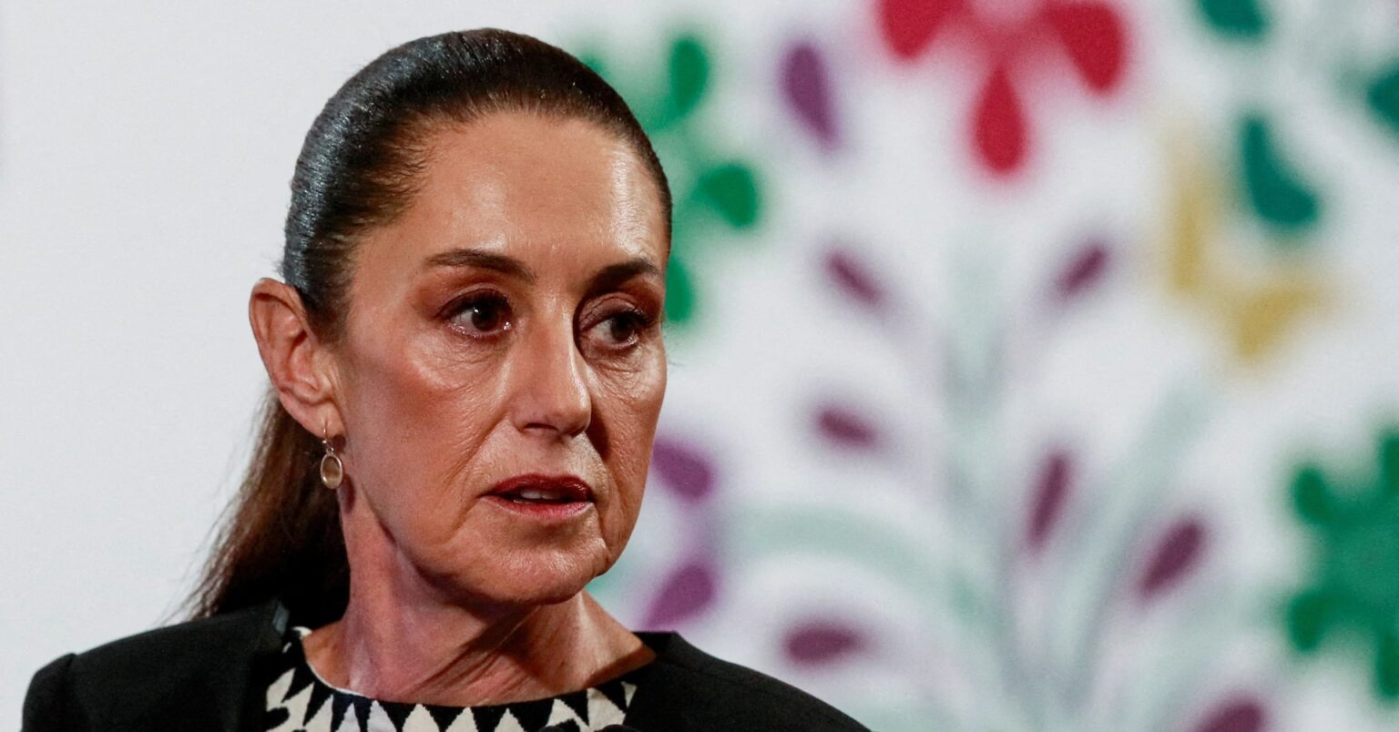 メキシコ、米に報復関税発動へ　大統領が閣僚に指示 | ロイター