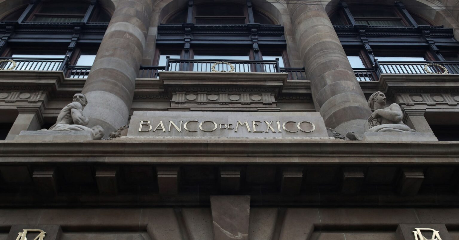 メキシコ中銀、0.5％利下げ　緩和ペースを加速 | ロイター