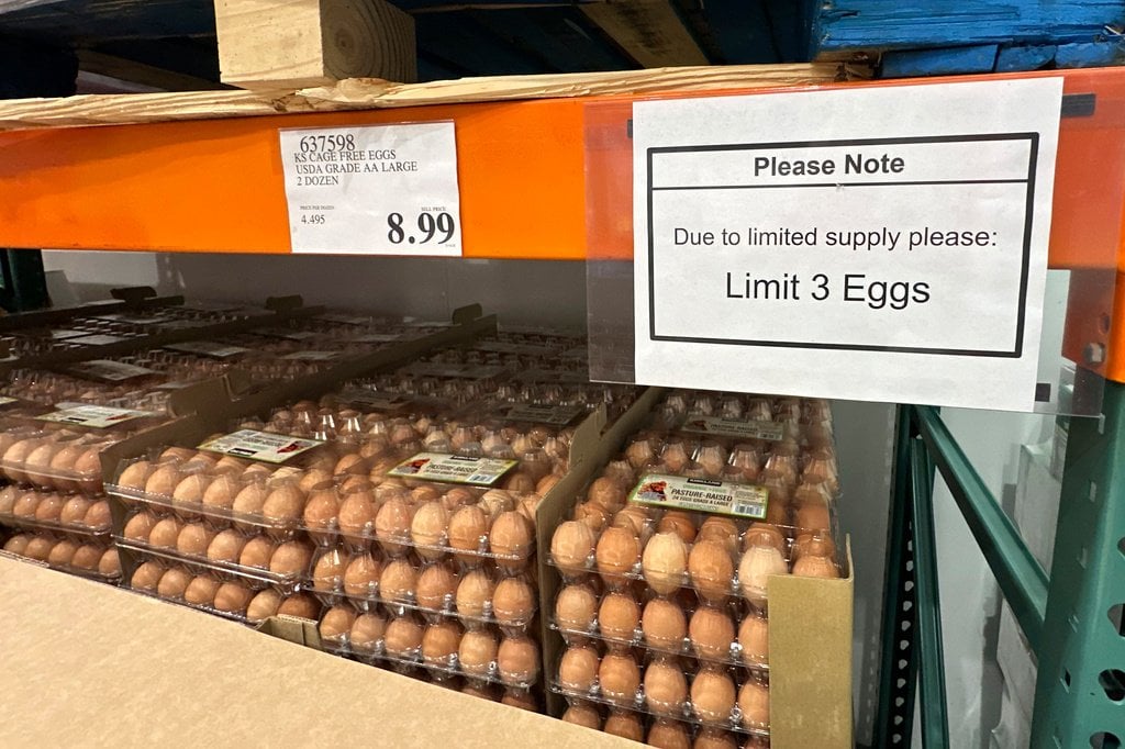 アメリカはスウェーデンに卵を求めます