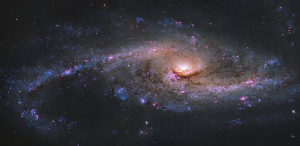 ハッブル宇宙望遠鏡（HST）が撮影した渦巻銀河「NGC 4536」（Credit: NASA, ESA, and J. Lee (Space Telescope Science Institute); Processing: Gladys Kober (NASA/Catholic University of America) ）