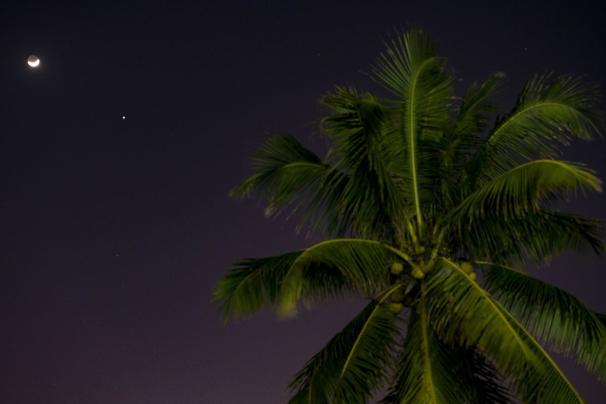 月と木星の接近。中国海南省の瓊海市にて2022年1月6日撮影（Meng Zhongde/VCG via Getty Images）