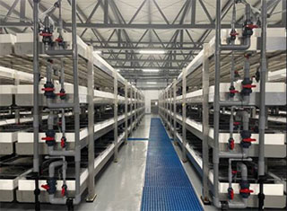 ウニノミクスの既設ウニ畜養工場(山口県長門市の例)