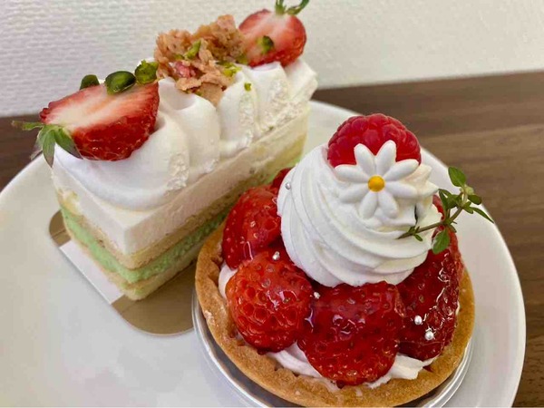 第50期 棋王戦 五番勝負 第3局