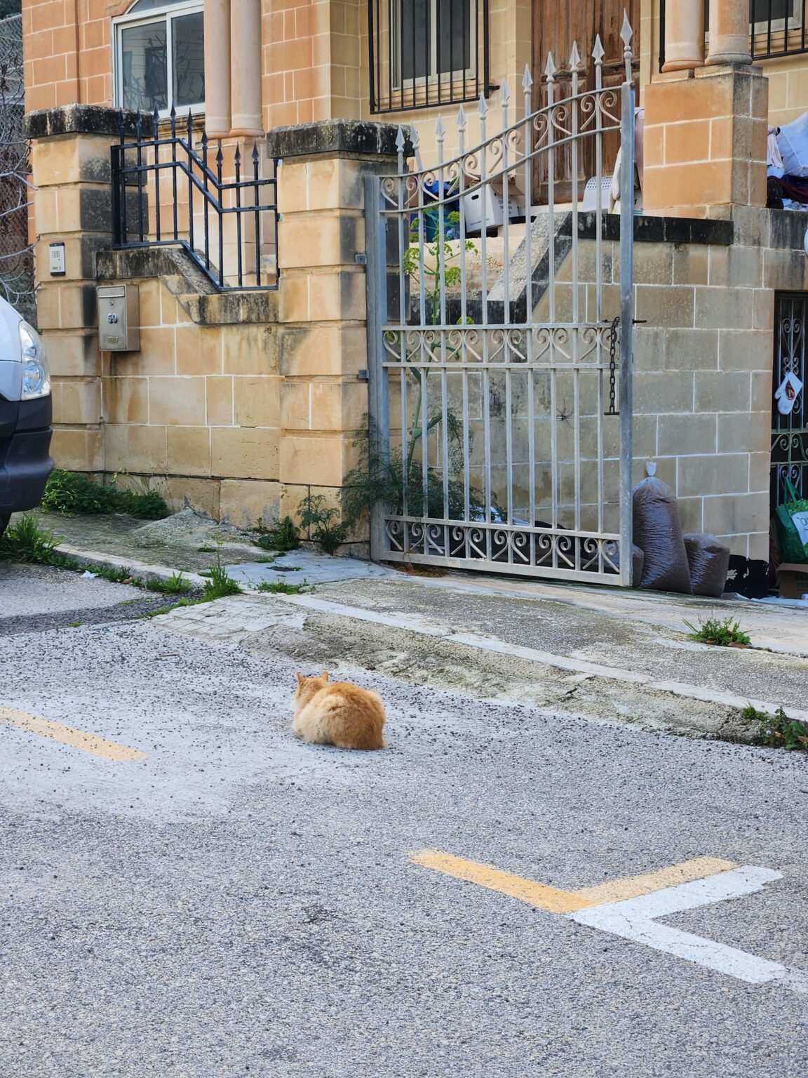Swieqi（風刺）の違法に駐車した車
