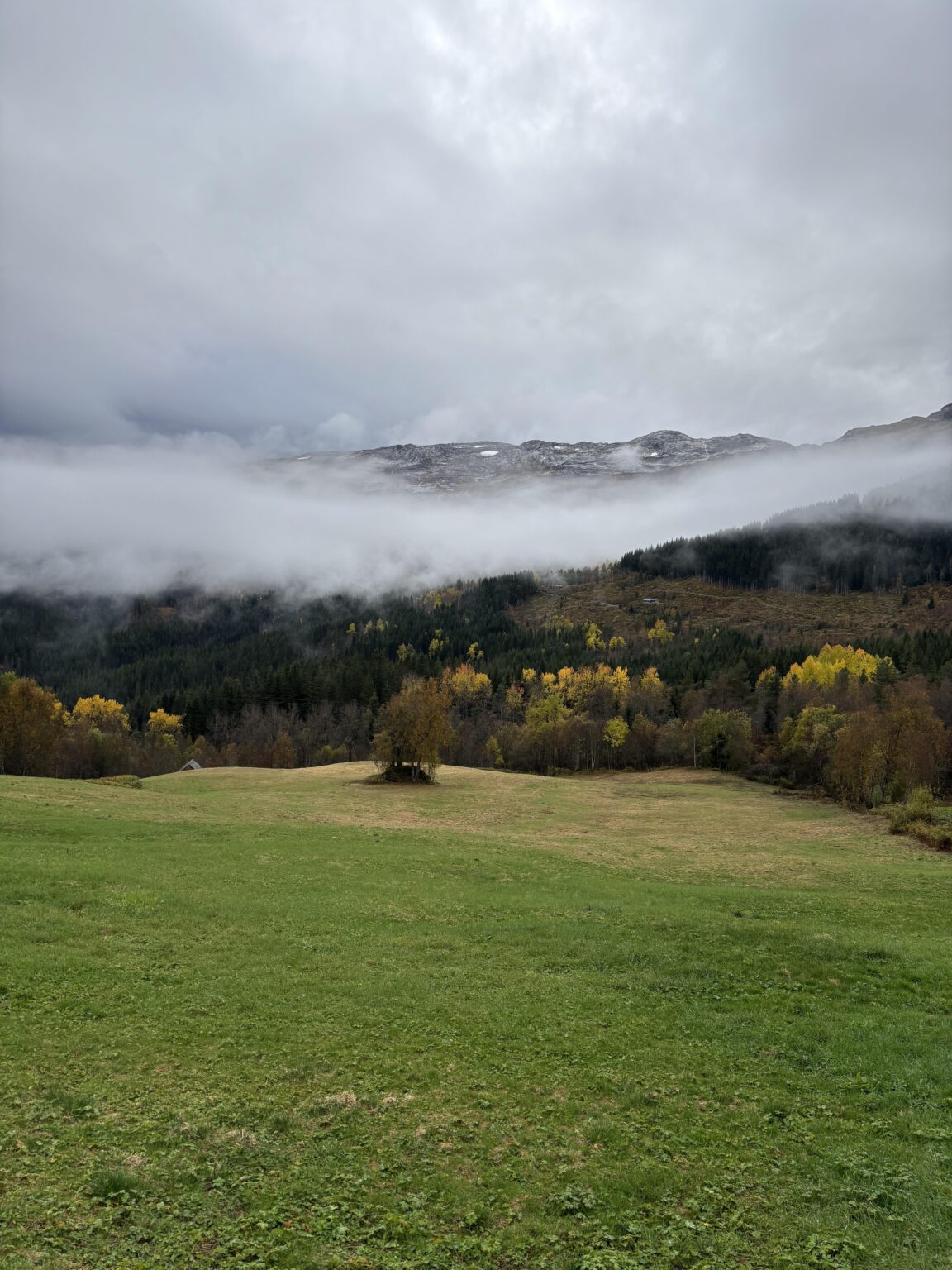 Løkjahovden