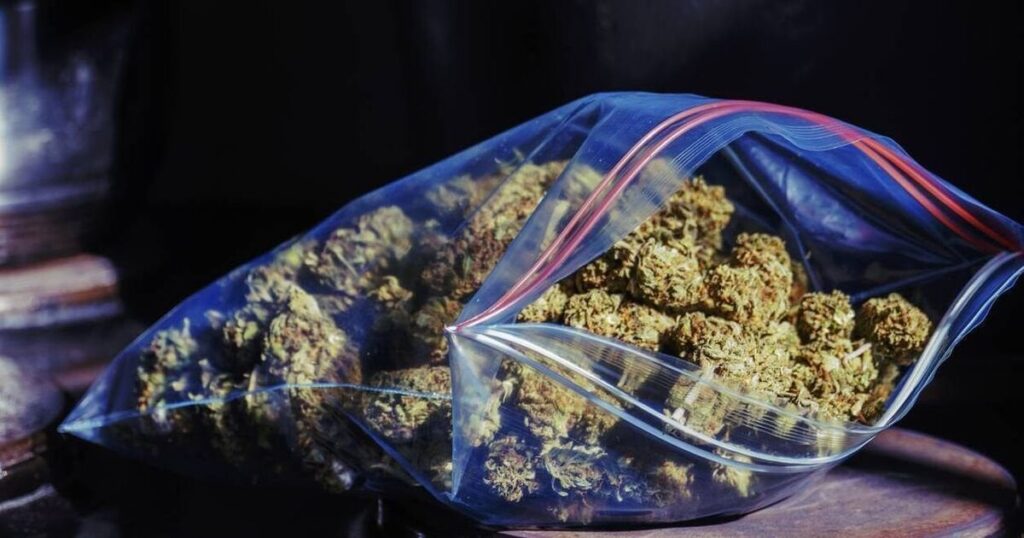 孤立した家に大麻を保管するために、不吉な人に利用された「脆弱な」コルク人「男」