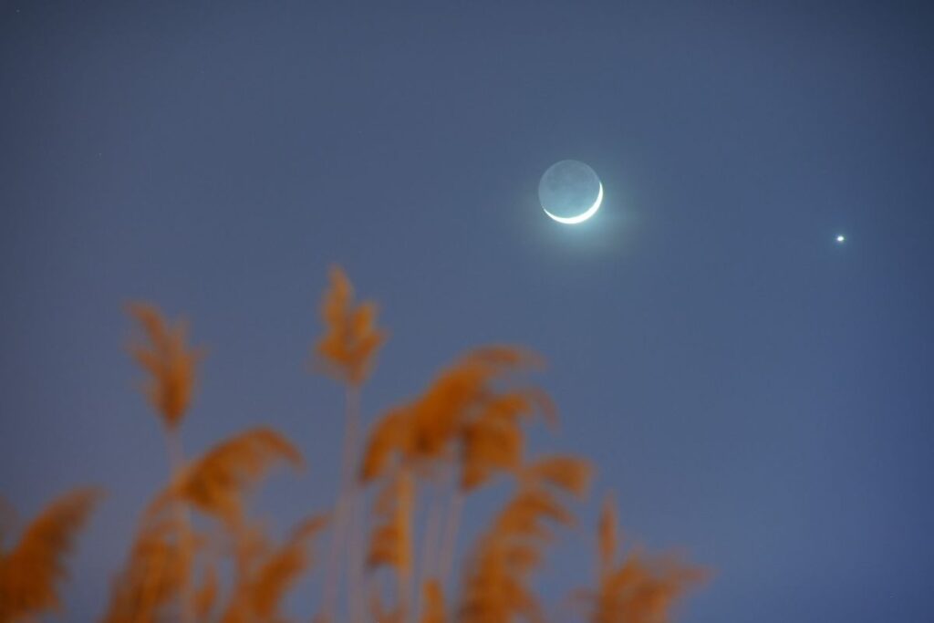 「ブラッドムーンと日食の朝日」を拝もう オーロラにも期待したい3月の夜空 | Forbes JAPAN 公式サイト(フォーブス ジャパン) 中国・新疆ウイグル自治区で2023年2月22日に撮影された金星と三日月(VCG/VCG via Getty Images)
