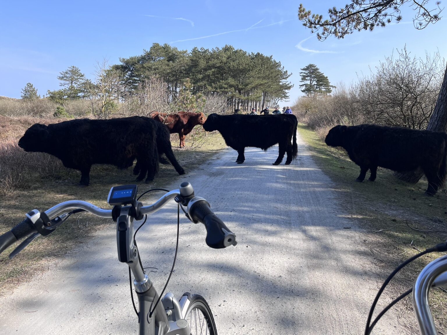 クリンカーに抗議します
