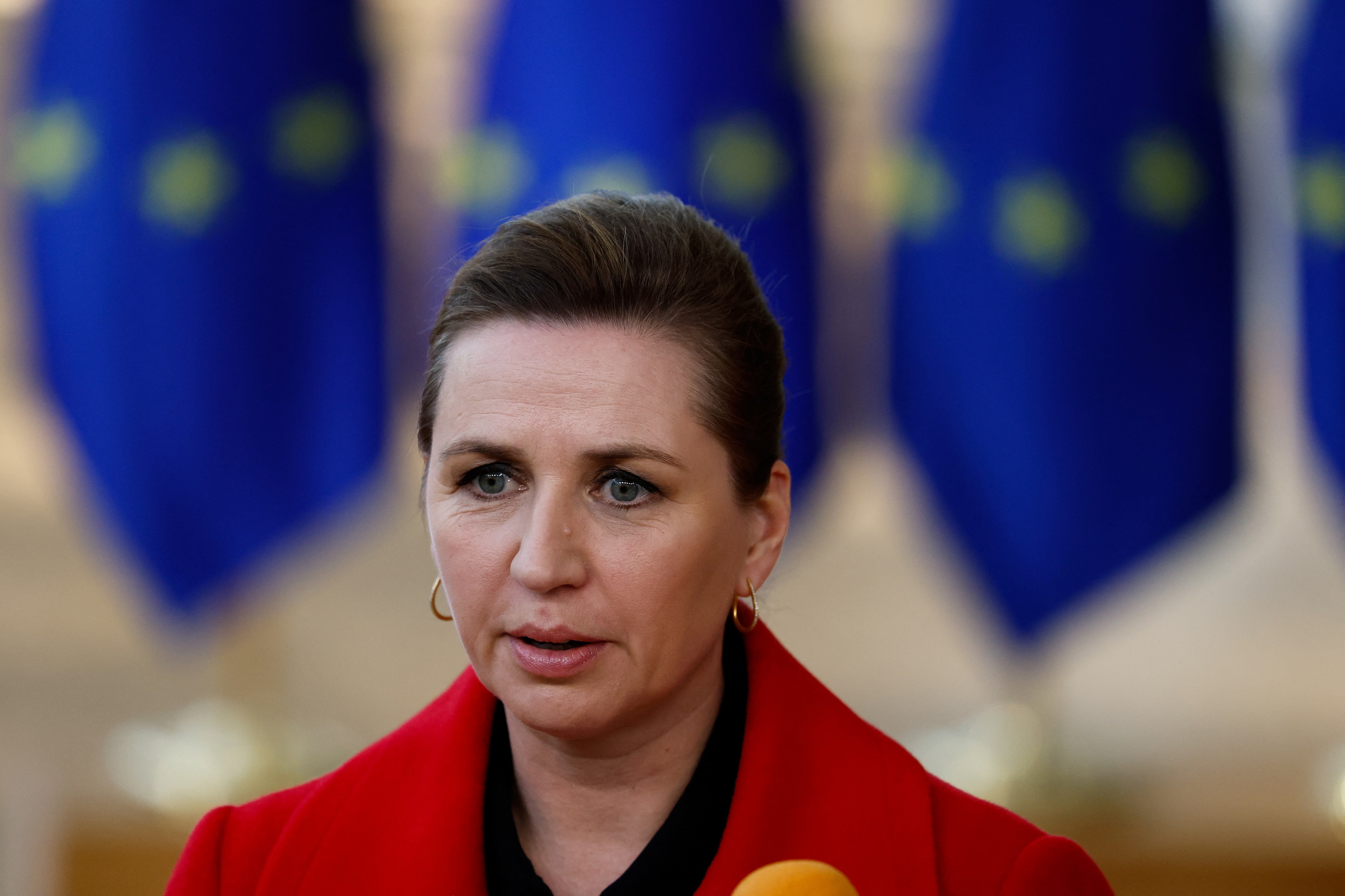 グリーンランドに「容認できない圧力」、デンマーク首相　米代表団訪問巡り