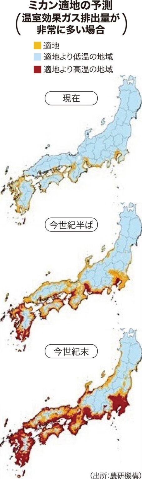ミカン産地全て不適地に 温室ガス量次第 農研機構が世紀末予測 / 日本農業新聞