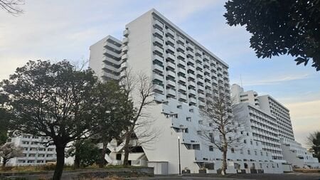 川崎にある駅からクソ遠くて不便な「SF感が漂う団地」の圧倒される光景　“Yを逆さにした住宅”はなぜ誕生したのか
