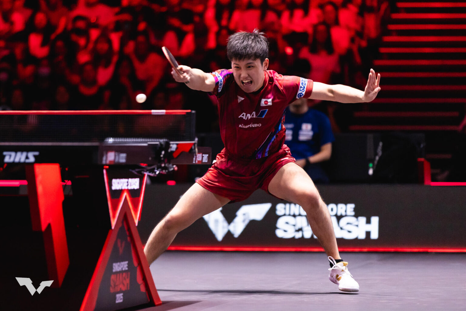 張本智和 過去5勝5敗のライバルを破って8強入り!次戦は篠塚と激突【卓球 WTT重慶】|テレ東卓球NEWS:テレ東 張本智和 過去5勝5敗のライバルを破って8強入り!次戦は篠塚と激突【卓球 WTT重慶】|テレ東卓球NEWS:テレ東