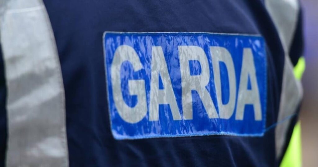 Oireachtasのメンバーは、150,000ユーロのビジネス詐欺で逮捕されました