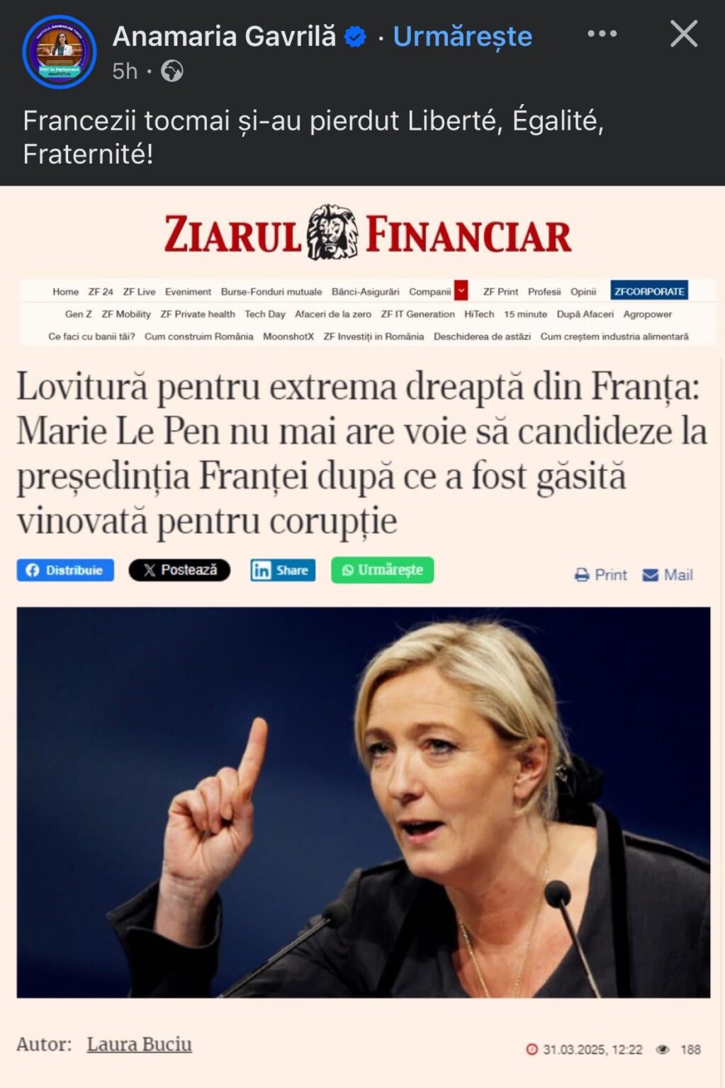 フランスには民主主義がありません。