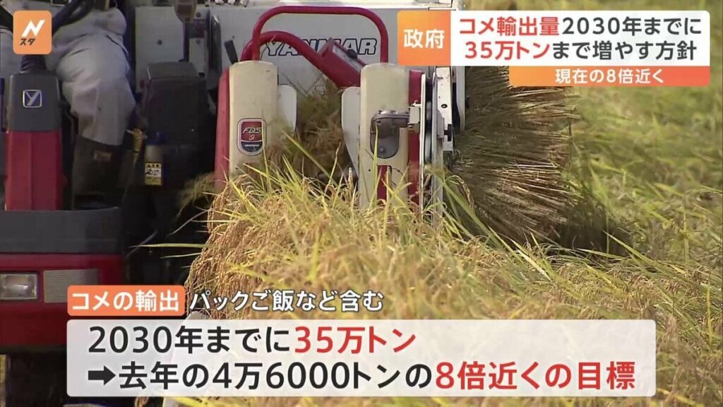 コメ輸出量 政府“2030年までに35万トン” 現在の8倍近くの目標 今月中にも閣議決定の見通し