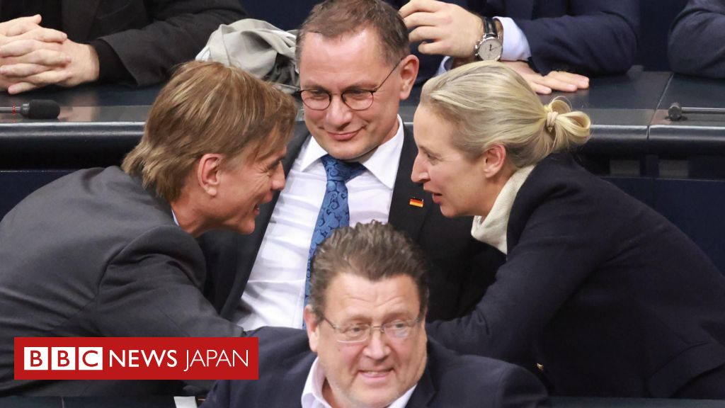 独議会、移民政策の厳格化求める決議案を可決　極右の支持に紛糾 - BBCニュース