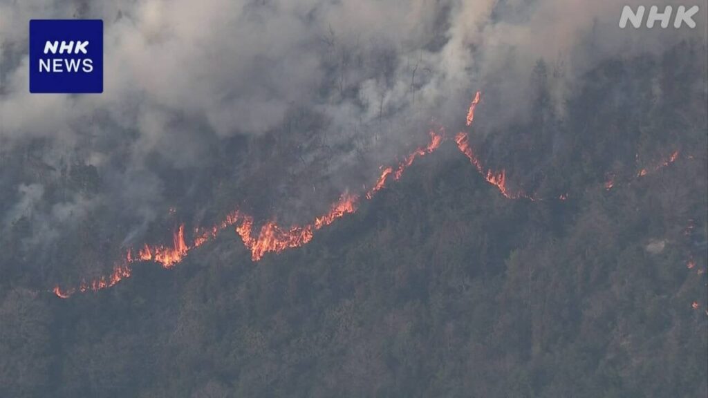 愛媛今治 山林火災 延焼続く 長沢地区 全世帯に避難指示